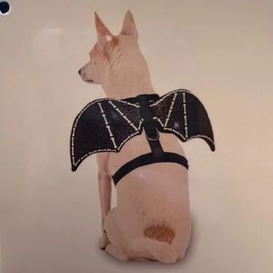 Dog Bat Wings, Halloween Costumes for Dogs, Pet Costume, Bat Wings Dogs Sz XS